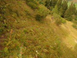 2013-09-22_Bleispitze (126).JPG